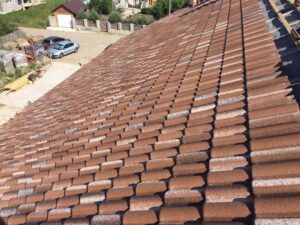 FB_IMG_1676206351868